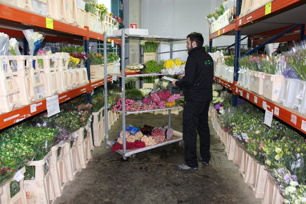 La higiene y desinfección de la cámara son vitales para mantener la calidad de flores y verdes de corte