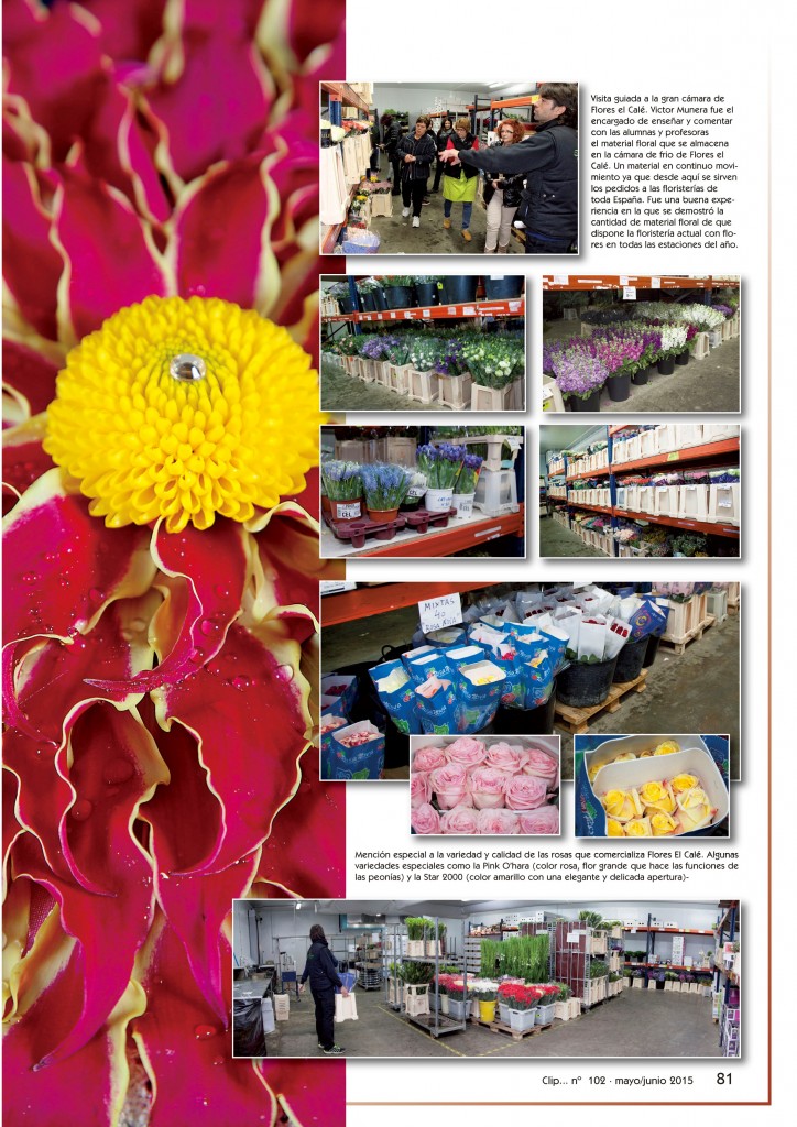 revista Clip... flores y más nº102 pág. 81. B&E Autoedición, SL