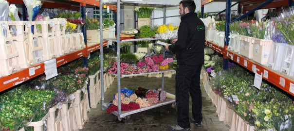 Cómo prolongar la vida de la flor cortada