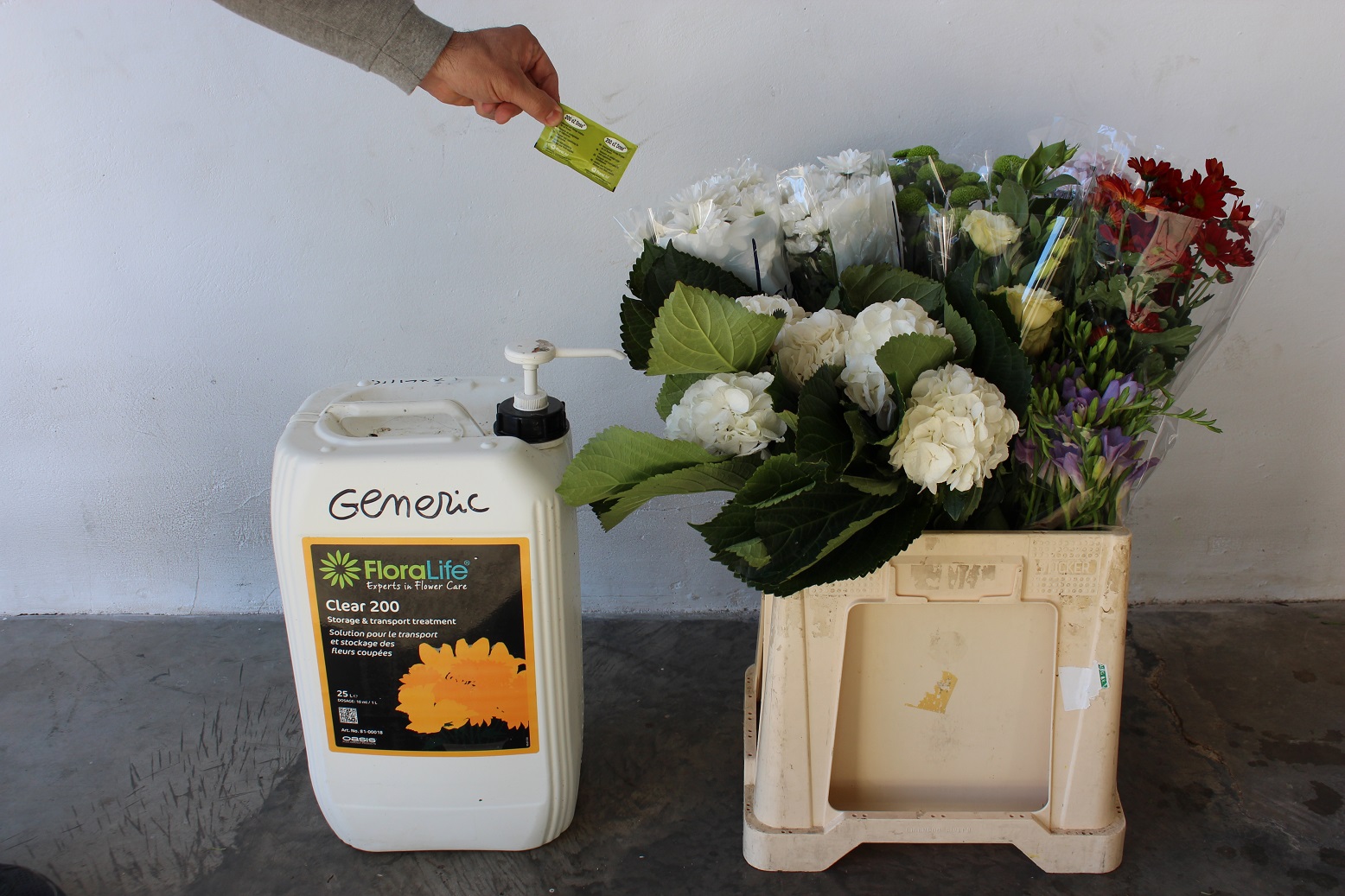 Uso de conservantes para una mayor duración de la flor cortada | Blog del  Florista