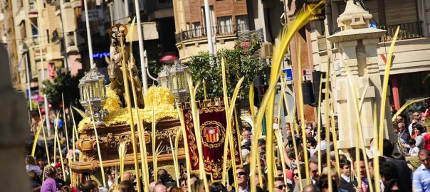 Todo lo que quiso saber sobre la palma blanca… y no se atrevió a preguntar