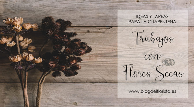 TRABAJOS CON FLORES SECAS