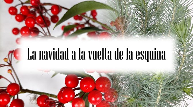 LA NAVIDAD, A LA VUELTA DE LA ESQUINA