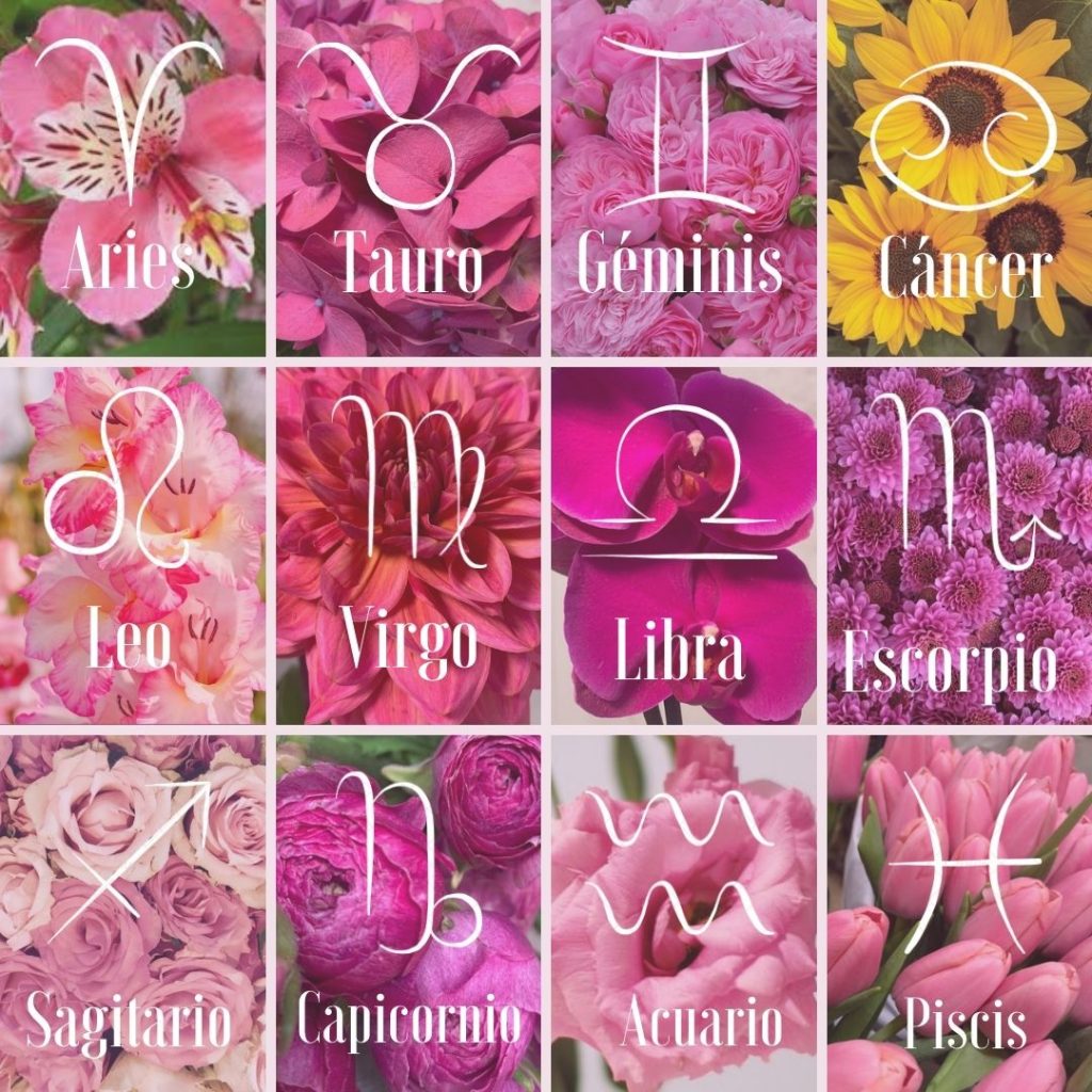 Qué r eres de acuerdo a tu signo zodiacal?